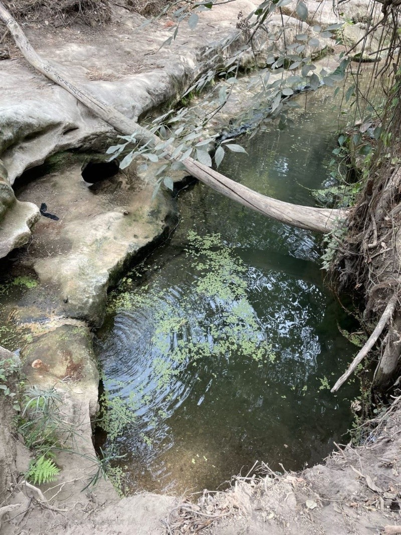 EL INFORMADOR / F. SALCEDO 