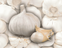 Para hacer más efectivo su consumo, se recomienda la ingesta de ajo en ayunas. ESPECIAL / CANVA