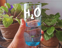 El consumo de agua debe ser una constante en la dieta diaria. EL INFORMADOR / O. Álvarez