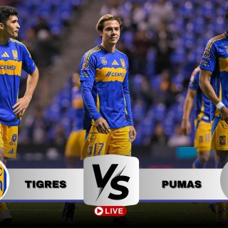 ¿Dónde ver EN VIVO el partido Tigres vs Pumas?