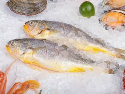 Congelar correctamente el pescado requiere una serie de pasos que aseguren su seguridad alimentaria, textura y sabor. ESPECIAL / CANVA