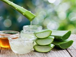 Mientras más puro se utilice el aloe vera, mucho mejor. ESPECIAL / CANVA