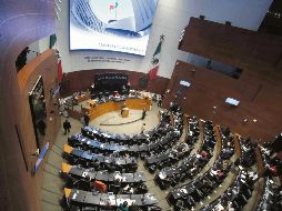 La Cámara alta criticó la actitud del Gobierno de Estados Unidos. EL UNIVERSAL