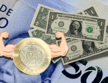 Hoy, la mejor opción en la compra del dólar -en este momento de la mañana- es Banamex, y la venta en BBVA. ESPECIAL