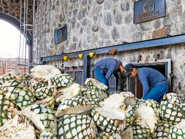 A pesar de la incertidumbre arancelaria, las exportaciones de tequila crecieron un 18.6% en el primer semestre del 2025. EL INFORMADOR/Archivo