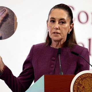 Sheinbaum tacha de "un exceso" la alerta de EU sobre el gusano barrenador