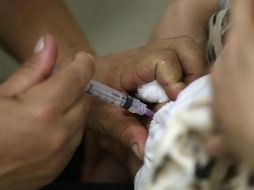 De los casos en el continente, 800 fueron reportados en diez brotes en Estados Unidos. EFE / ARCHIVO