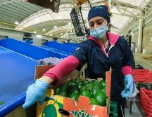 La Secretaría de Desarrollo Económico del Gobierno de Jalisco atribuye estos resultados al impulso de una estrategia integral de apoyo a micro, pequeñas, medianas y grandes empresas. ESPECIAL/Sedeco