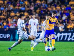 Cementeros y felinos se juegan su pase a la final/ Édgar Dávila / CAFC