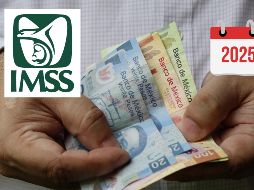 El IMSS resalta que este pago está garantizado, proporcionando seguridad y certeza a los pensionados en cuanto a la recepción puntual de sus recursos. ESPECIAL / CANVA