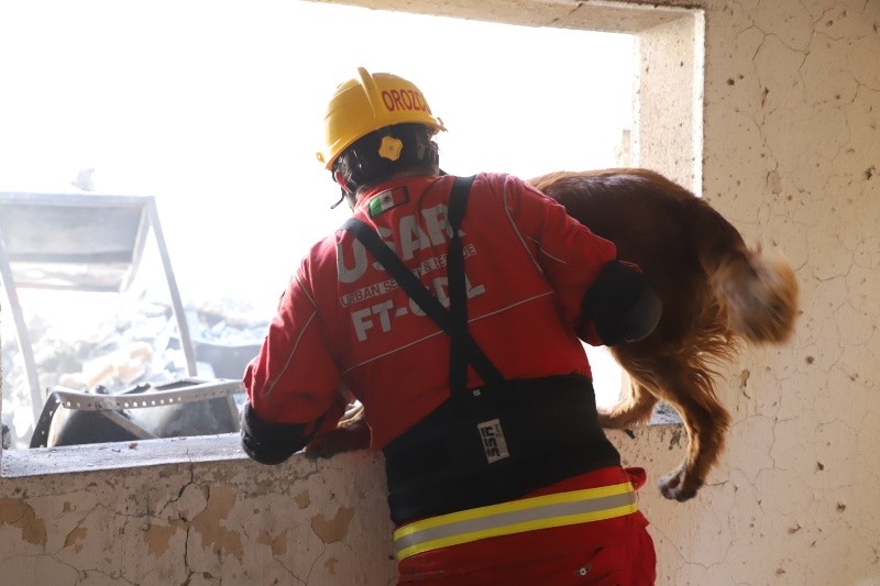 ESPECIAL / PROTECCIÓN CIVIL Y BOMBEROS GDL 