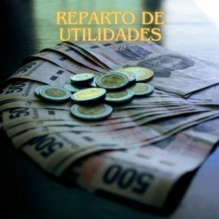 ¿Qué se hace si la empresa en la que trabajo no paga utilidades?