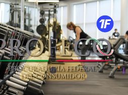 Seis personas se han acercado para solicitar información o presentar quejas formales contra la aplicación a través de la Odeco. ESPECIAL / UNSPLASH Danielle Cerullo