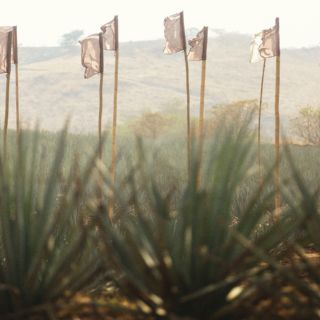 Sostenibilidad en cada beat: Akamba 2025 celebra con conciencia ecológica