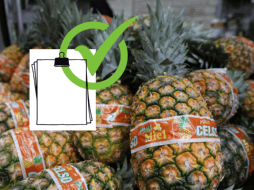 Consumir alimentos de temporada trae múltiples ventajas a la vida cotidiana, pues se encuentran en el mejor momento de su frescura. EL INFORMADOR/ARCHIVO