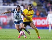 El duelo entre América y Pachuca tiene tintes de una rivalidad que cada vez más se va fortaleciendo. IMAGO7.