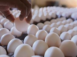 Los expertos concluyen que cenar huevo sí es una excelente opción nutricional. EL INFORMADOR/ Archivo