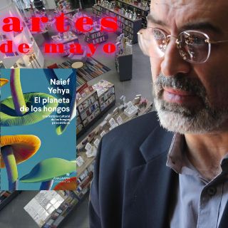 Asiste a la sesión especial del Cantinero científico de la LCF con Naief Yehya