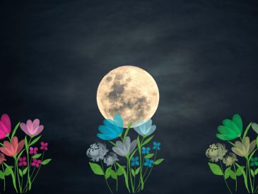 Más adelante, las noches del 22 y 23 de mayo ofrecerán una serie de alineaciones planetarias: la Luna menguante se acercará a Saturno, Neptuno y Venus en la constelación de Piscis.  CANVA/ ESPECIAL