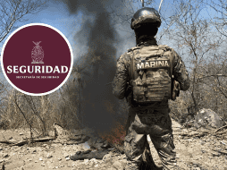 El Ejercito Mexicano desmantelo un campamento destinado para el crimen organizado. ESPECIAL / X / @sspsinaloa1