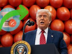 90% de los jitomates que se consumen en Estados Unidos provienen de México. EL INFORMADOR / EFE / ARCHIVO