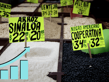 Mientras que los productos genéricos que más subieron en el mes fueron el jitomate (22,08%), el aguacate (10,90%) y las cremas para la piel. EFE / J. Méndez