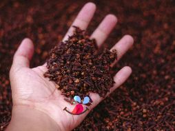 Estos son los múltiples beneficios que aporta el clavo de olor como medicina y como condimento. ESPECIAL / UNSPLASH Afif Ramdhasuma