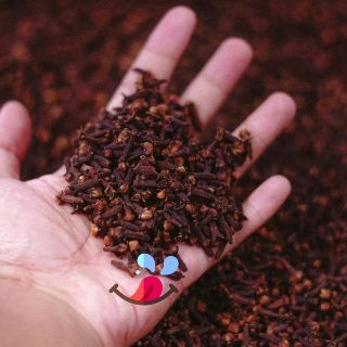 Estos son los beneficios que puedes obtener del clavo de olor