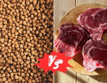 Descubre qué es más saludable; la soja o la carne. UNSPLASH / M. AYDIN / J. CAMERON