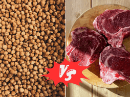 Descubre qué es más saludable; la soja o la carne. UNSPLASH / M. AYDIN / J. CAMERON