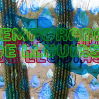 Temporada de lluvias 2025: Estados donde podría mitigar la sequía