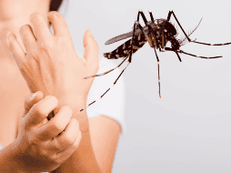 Si los mosquitos te pican más que a otros, no es tu imaginación: probablemente seas más atractivo para ellos por tu olor, tu tipo de sangre, la cantidad de CO₂ que exhalas, o incluso por tu genética. CANVA
