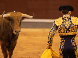 Mediante una carta firmada por su fundadora, Ingrid Newkirk, PETA pidió que la Iglesia católica se deslinde de las corridas de toros. ESPECIAL