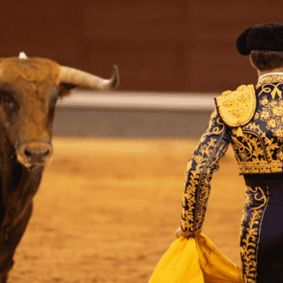 Organización animalista insta al Papa  XlV a rechazar las corridas de toros