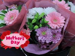 No desaproveches la oportunidad de sorprender a mamá con un romo de sus flores favoritas. ESPECIAL / PEXELS