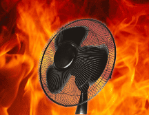 Este 10 de mayo será un día de calor para gran parte del estado de Jalisco. EL INFORMADOR / ARCHIVO / ESPECIAL