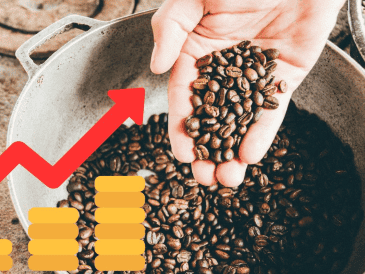 El café se encareció a menor velocidad en las tres principales urbes del país. UNSPLASH / M. MILOEZGER