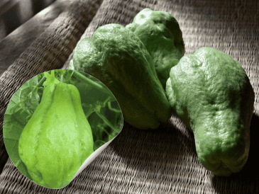 Pese a la popularidad del chayote, existe un debate sobre las distintas maneras de consumirlo, específicamente, sobre si es conveniente retirar o no su cáscara. ESPECIAL