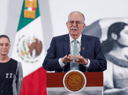 Según Julio Berdegué, se implementó la dispersión de moscas estériles para contrarrestar la situación, las cuales actualmente han alcanzado un total de mil millones. EFE / I. Esquivel