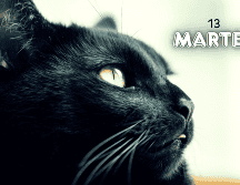 Es evidente, como con todas las supersticiones, que el número 13 no tiene una connotación negativa. ESPECIAL / CANVA