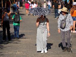 Jalisco acumula el mayor número de casos con personas que han visto afectada su salud por altas temperaturas. EL INFORMADOR/ARCHIVO