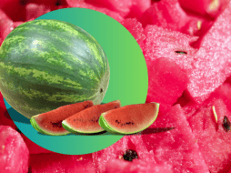 La Secretaría de Agricultura y Desarrollo Rural menciona que  la sandía es una de las frutas más saludables. ESPECIAL