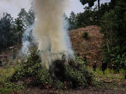 Los hechos ocurren en medio de la presión de Estados Unidos contra el tráfico de drogas. EFE/ARCHIVO