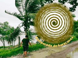 Las temperaturas del Pacífico tropical están dentro de los rangos normales, lo que dificulta identificar patrones claros sobre el comportamiento de los ciclones. NTX / ARCHIVO