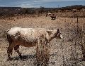 ¡Qué calor! Este jueves se mantendrá el clima cálido sobre gran parte de México. EL INFORMADOR / ARCHIVO