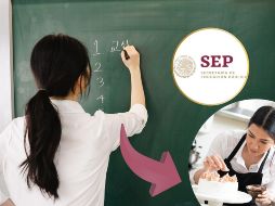 Uno de los factores que ha contribuido a la inestabilidad en la profesión es la falta de continuidad en las políticas públicas del sector. SEP