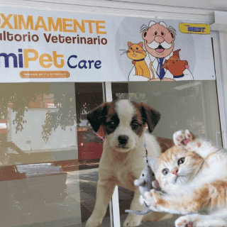 ¿Dr. Simi tendrá consultorios veterinarios? Esto sabemos sobre 'SimiPet Care'
