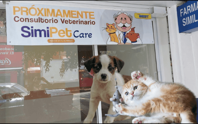 Una de las razones por las que esta iniciativa despierta tanto interés es que Farmacias Similares ya cuenta con amplia experiencia en la operación de consultorios médicos anexos a sus establecimientos. ESPECIAL/ Pixabay.