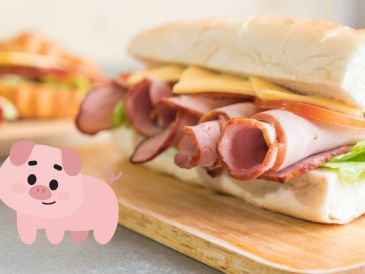 Según Profeco en su revista del consumidor del mes de mayo de 2025, el queso de puerco es un producto alimenticio derivado del procesamiento de la carne de cerdo. CANVA/ ESPECIAL