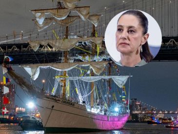 "Lamentamos que esto se use políticamente, porque fue un accidente", declaró la Mandataria. EFE / A. COLMENARES / SUN / ARCHIVO